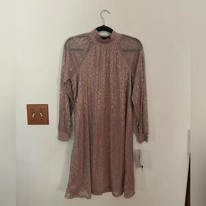Nina Leonard Rose Gold Long Sleeve Gown with Mock Neck